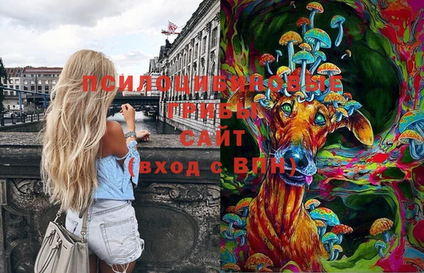 ешки Белоозёрский