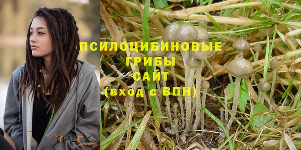 ECSTASY Снежногорск